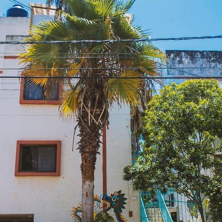 Kukulcan Hostel & Friends 칸쿤 외부 사진