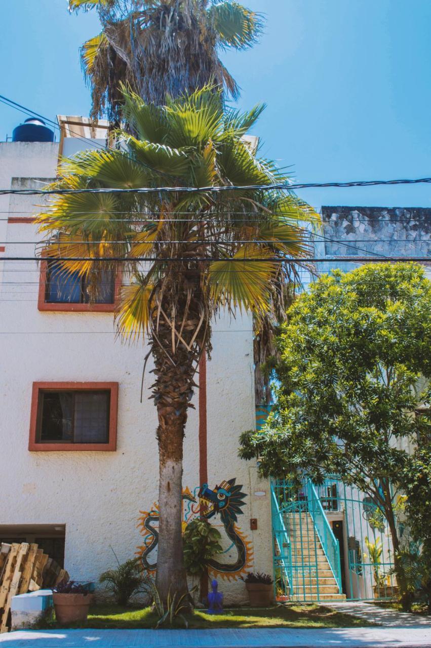 Kukulcan Hostel & Friends 칸쿤 외부 사진