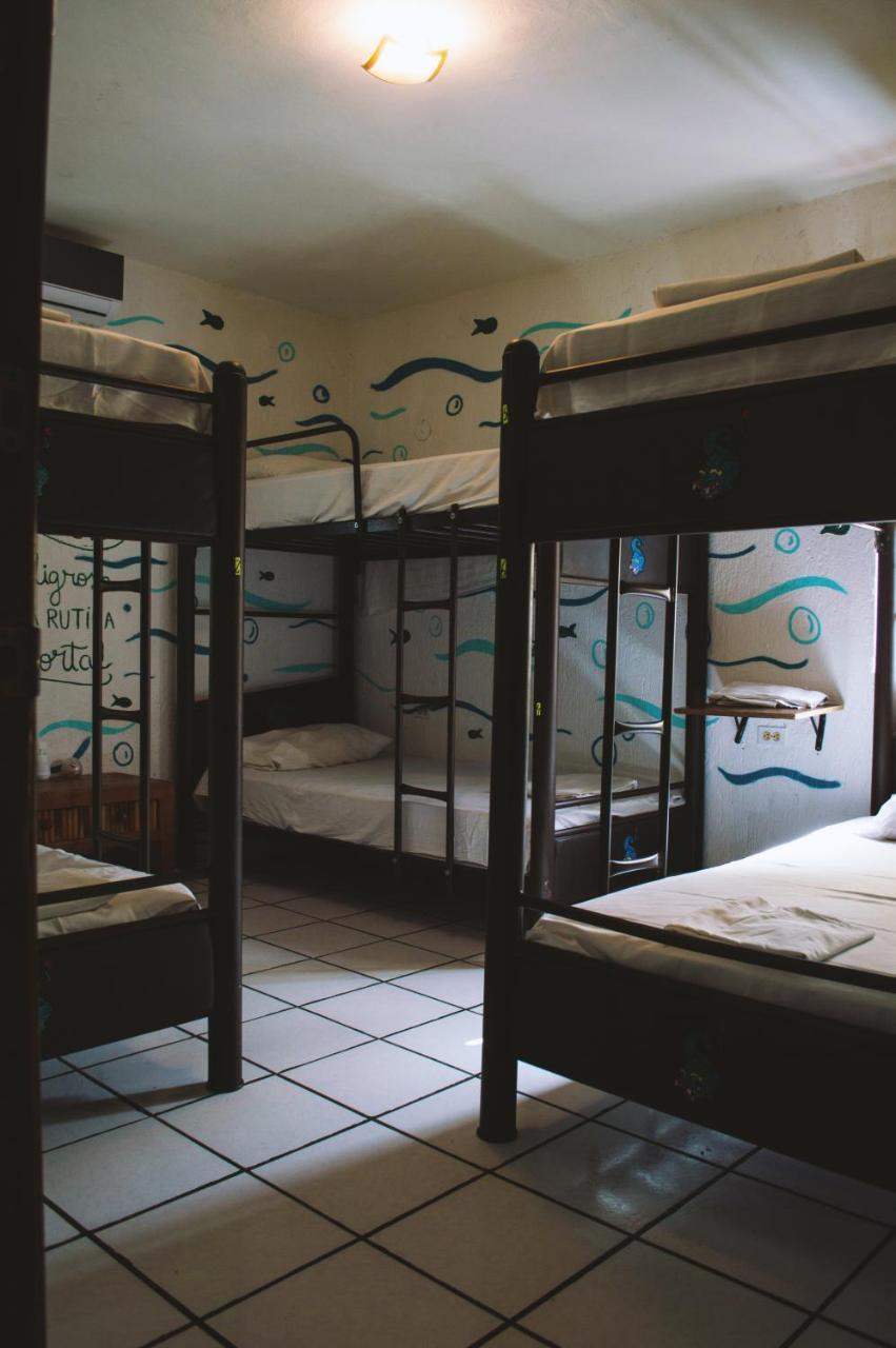 Kukulcan Hostel & Friends 칸쿤 외부 사진